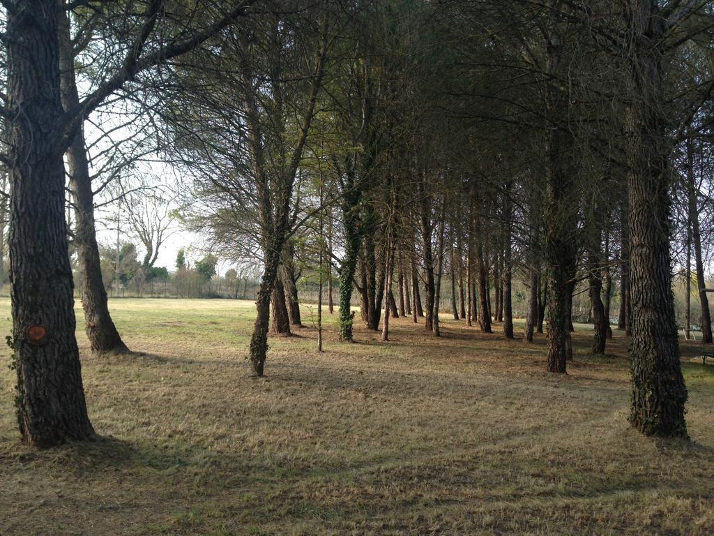 Le Mas De Trevouse Saint-Saturnin-lès-Avignon المظهر الخارجي الصورة