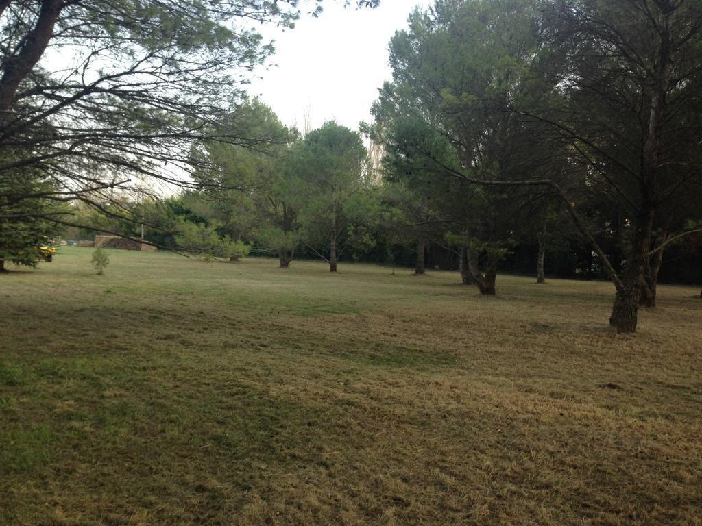 Le Mas De Trevouse Saint-Saturnin-lès-Avignon المظهر الخارجي الصورة